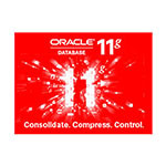 ORACLE 11g(企业版 1CPU) 数据库和中间件/ORACLE