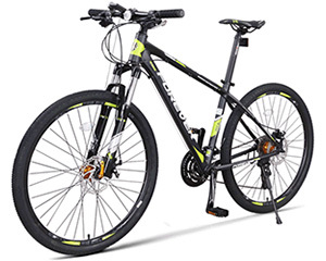 永久30速智能自行车(R100)