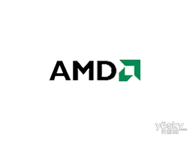 AMD R3 1100