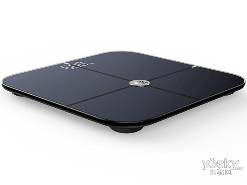 ��Ϊ������֬��