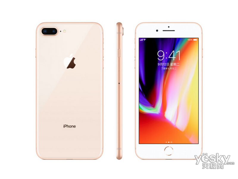 ƻ�� iPhone 8 Plus(���ʰ�/256GB/ȫ��ͨ)