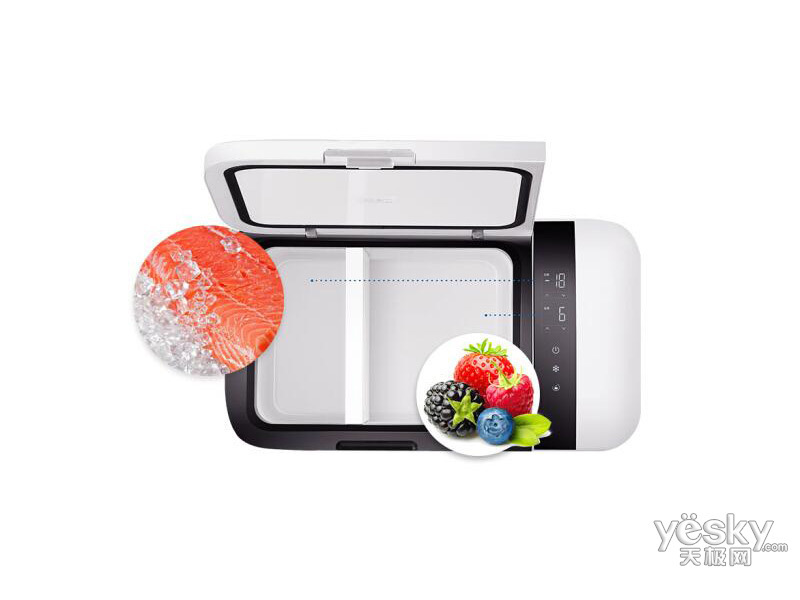 Ӣ�ö�T20�Լ���¶Ӫ���ر���