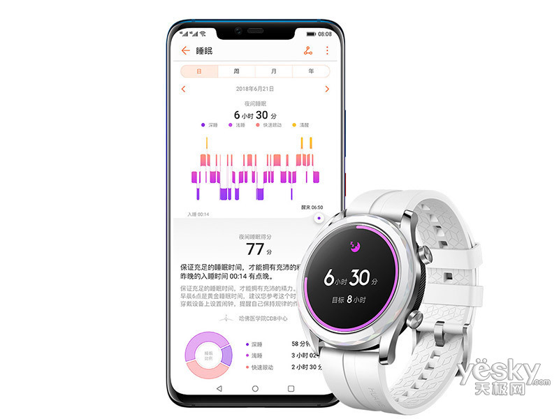 ��ΪWatch GT ���¿�