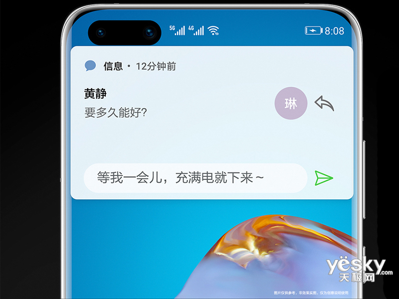 ��ΪP40 Pro(8GB/128GB/5G��)