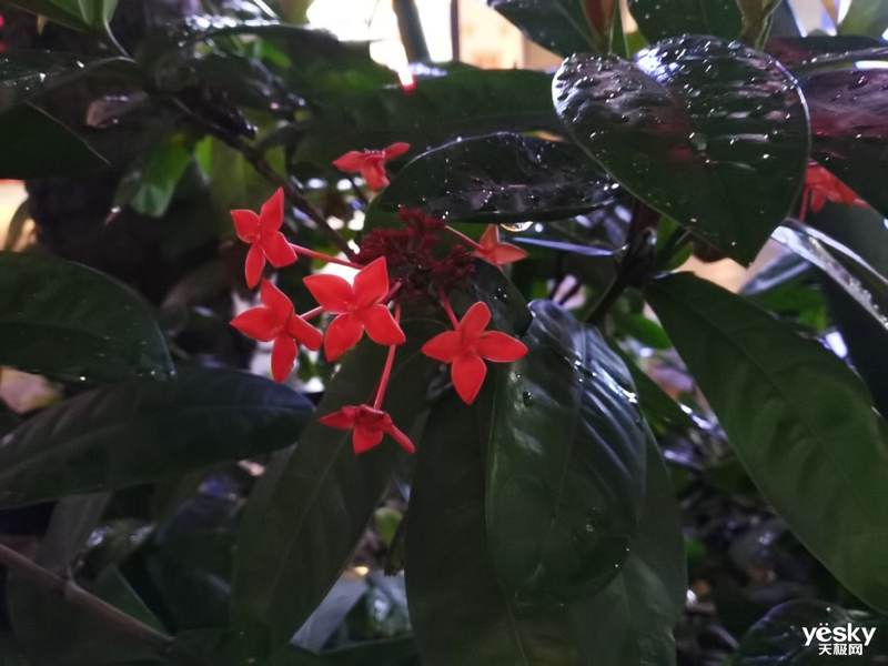 ��Ϊ��ҫƽ��V6(64GB/WiFi��)