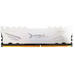 DX 8G DDR4 2666 ڴ/
