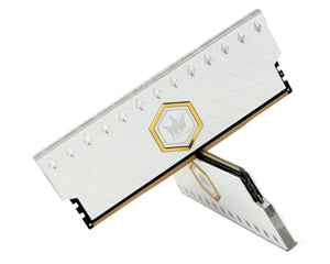 ӰHOF OC Lab  RGB 16GB(28GB)DDR4 5000ͼƬ