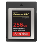 Extreme Pro(256GB) 濨/