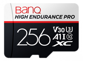 BanQ V60(256GB)