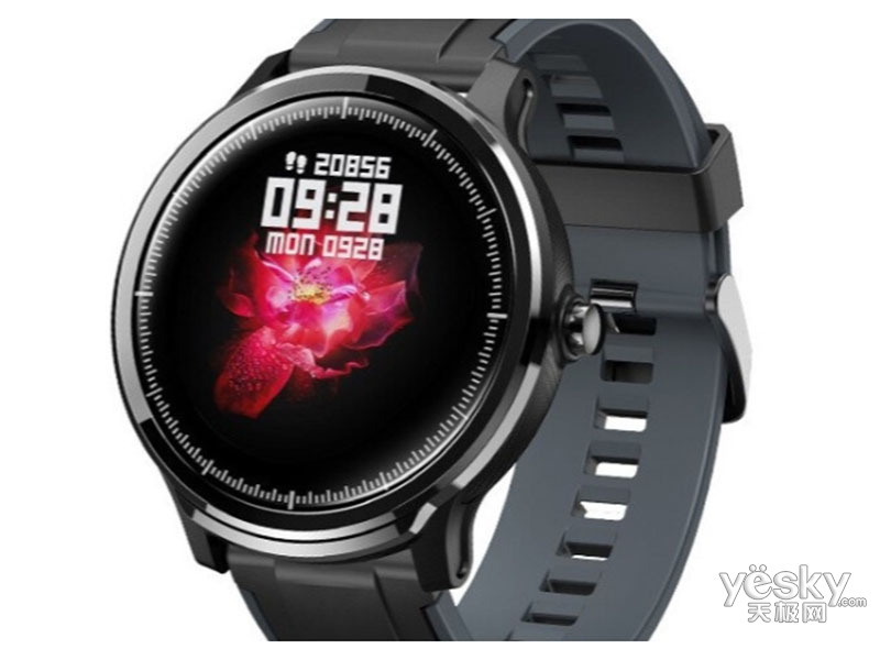 ������SN80