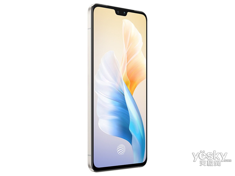vivo S10(8GB/128GB/ȫ��ͨ/5G��)