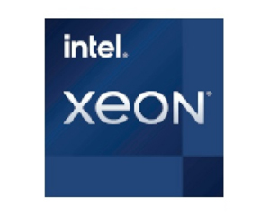 Ӣ�ض�Xeon W-1390TͼƬ