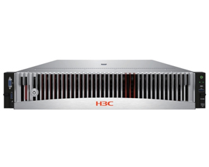 H3C UniServer R4950 G5(EPYC 7282/32GB/4TB×2/800w)
