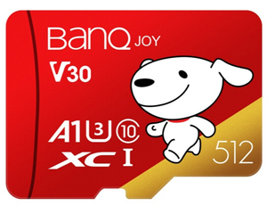 BanQ U1 Pro(512GB )