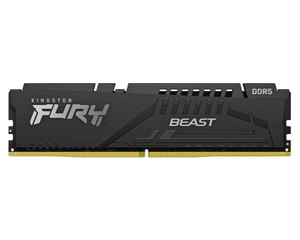 ʿFURY Beast 16GB DDR5 5200(KF552C40BB/16)