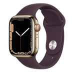 苹果Apple Watch Series 7 41mm(蜂窝款/不锈钢表壳/运动表带) 智能手表/苹果
