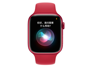 苹果Apple Watch Series 7 41mm(GPS版/铝金属表壳/运动型表带)