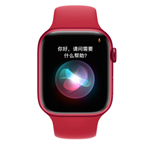 苹果Apple Watch Series 7 41mm(GPS版/铝金属表壳/运动型表带) 智能手表/苹果