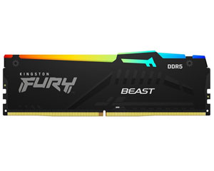 ʿFURY Beast 16GB DDR5 6000(KF560C40BB-16)