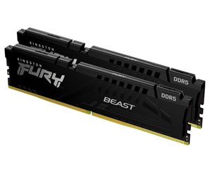 ��ʿ��Kingston FURY Beast DDR5 6000 32GB(2��16GB)ͼƬ