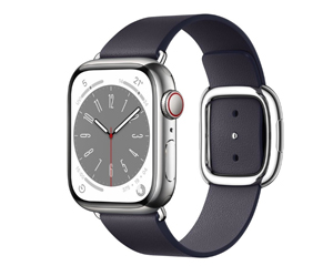 苹果Apple Watch Series 8银色不锈钢表壳现代风扣式表带 浓墨色 大号+蜂窝网络 41mm