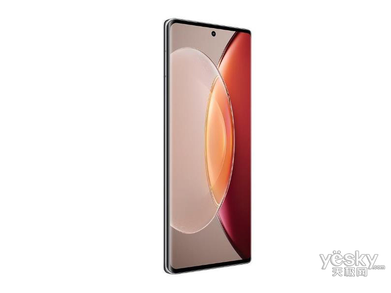 vivo X90 Pro+(12GB/256GB/ȫ��ͨ/5G��)