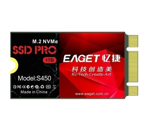 S450 PCIE(1TB)