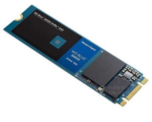 BLUE SN500 NVME SSD(250GB)