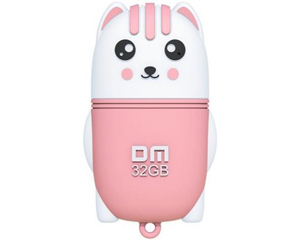 ����DM PD176(32GB)ͼƬ