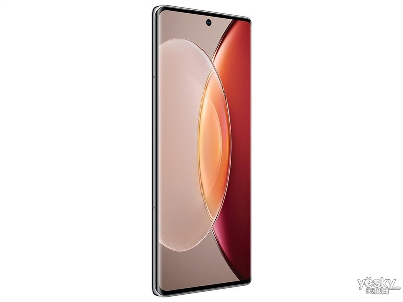 vivo X90S(12GB/512GB/ȫ��ͨ/5G��)