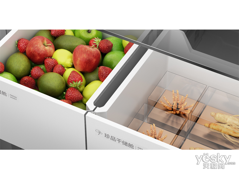 TCL �䲼������ƽǶ�Ʊ�����-R455T9-UQB